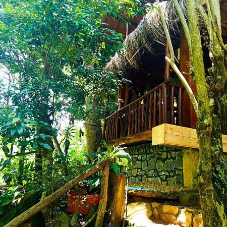 Jungle Face Inn Ella Εξωτερικό φωτογραφία