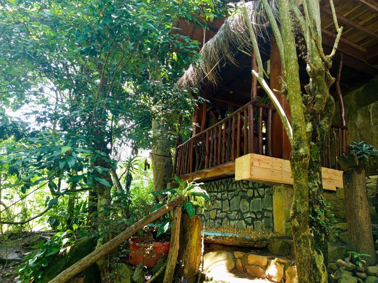 Jungle Face Inn Ella Εξωτερικό φωτογραφία