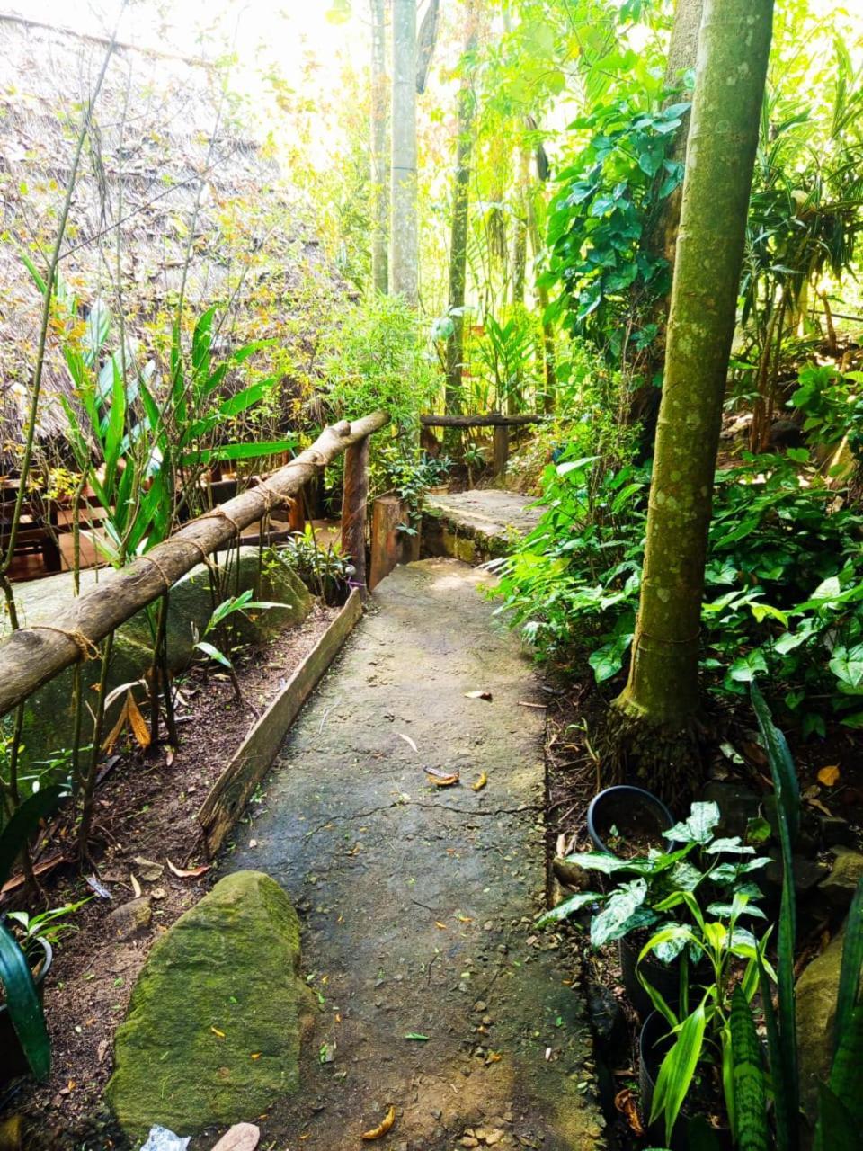Jungle Face Inn Ella Εξωτερικό φωτογραφία