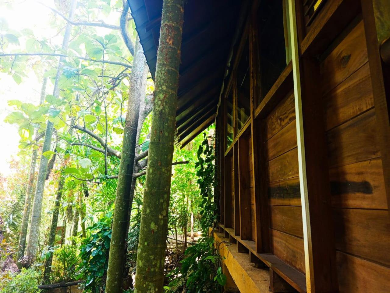 Jungle Face Inn Ella Εξωτερικό φωτογραφία